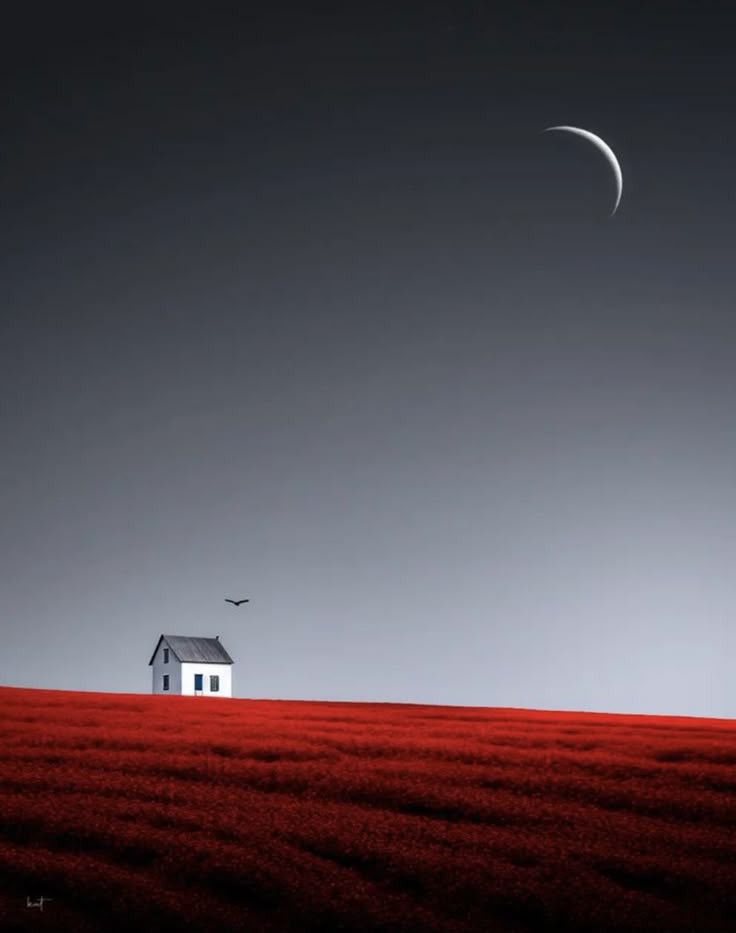 𝙈𝙖𝙟𝙖 𝙎𝙚𝙣𝙙𝙖  tweet media