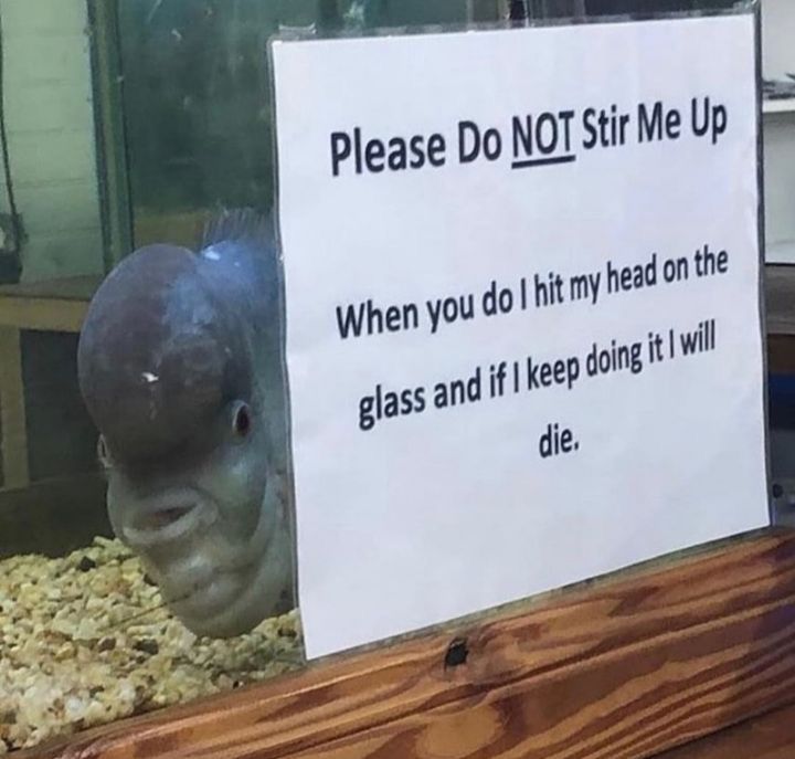 andre ★ tweet media