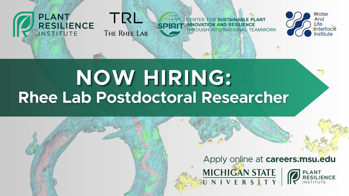 MSU_PRI's tweet image. The Rhee lab at the MSU Plant Resilience Institute is now #hiring a postdoctoral scholar to investigate how #nematodes respond to chemical and environmental cues as part of the C-SPIRIT and @WALIIAnhydro initiatives. 🪱 Apply now at: careers.msu.edu/jobs/research-… #PlantSciJobs