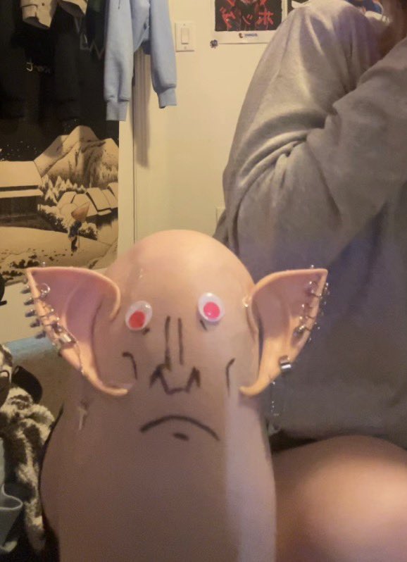 whizzer LIVE ˙⋆✮ tweet media