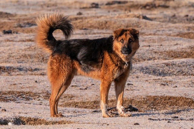 Nicole Cardenas tweet media