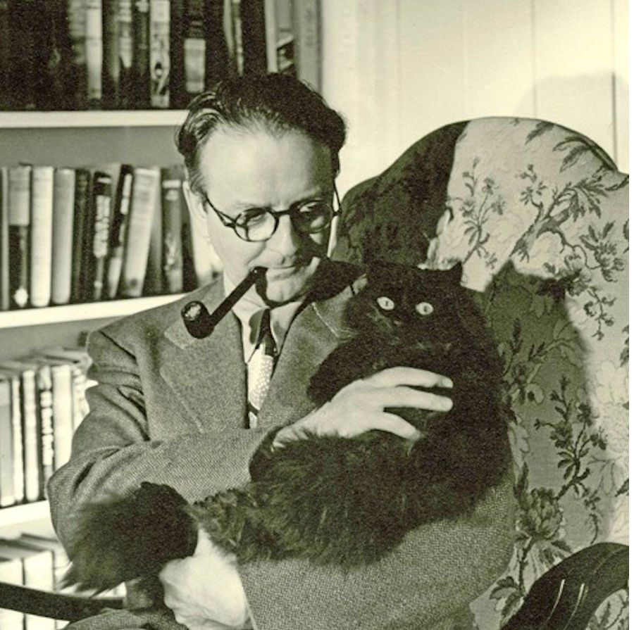 Paul Ryan O'Connor tweet media