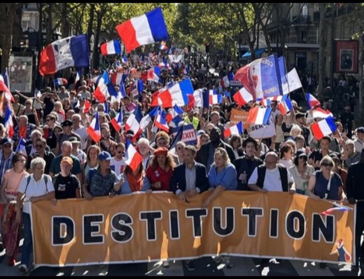 Cat 🇫🇷🧡🇫🇷🦁 tweet media