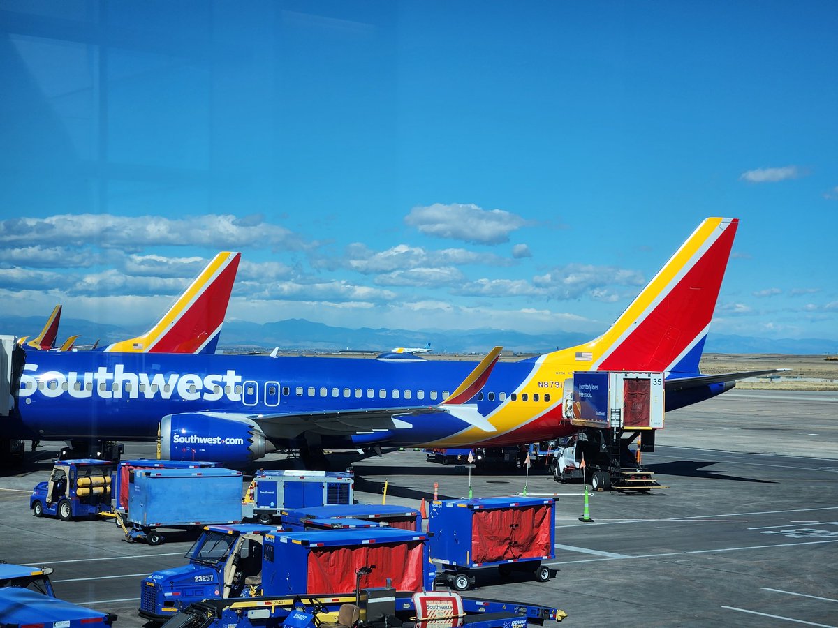 Zapp FoxCollie 🔜 LVFC tweet media