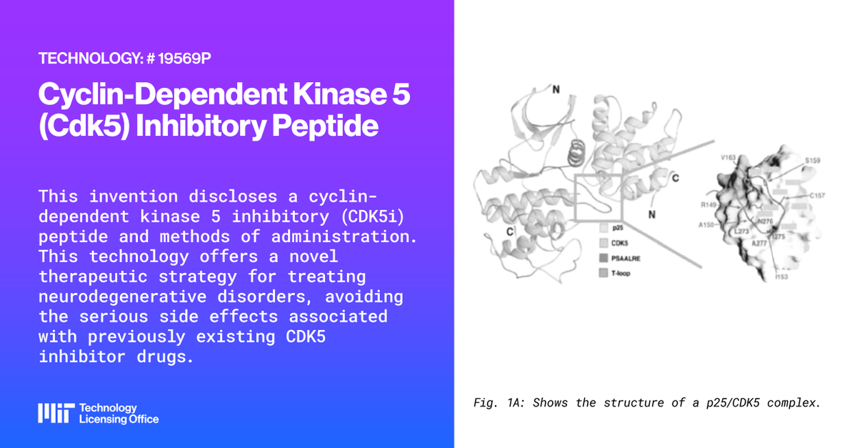 MIT_TLO's tweet photo. Check out our latest featured technology, a novel CDK5 inhibitory peptide. This innovation represents a promising new direction in neurodegenerative disease treatment.

Learn more: https://t.co/dLQ7dnTrc6 https://t.co/TyjOsxVJar