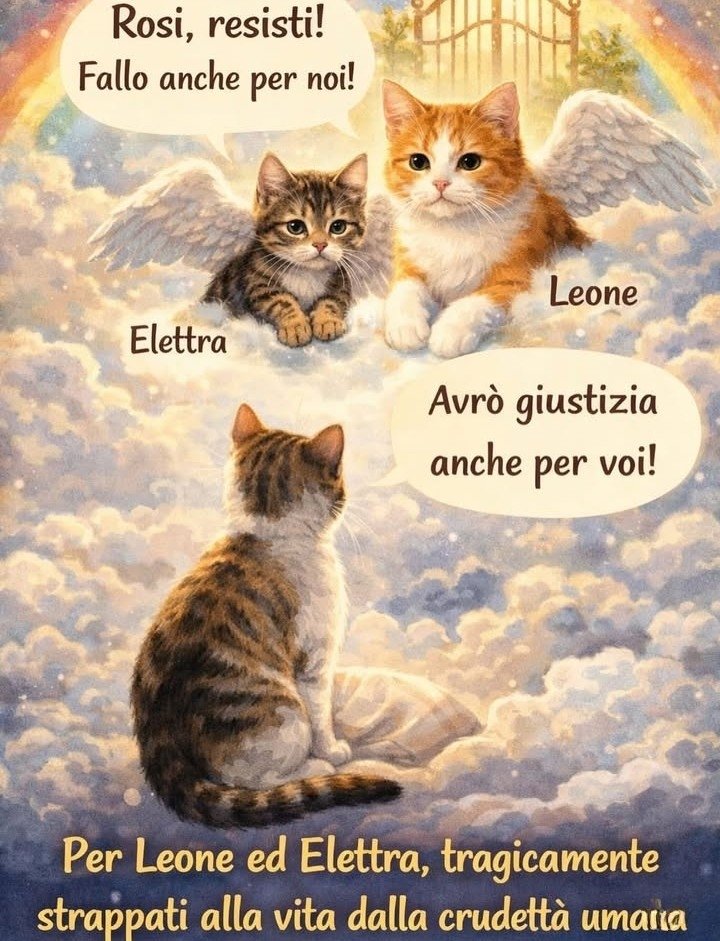 sarah 💕💕 tweet media