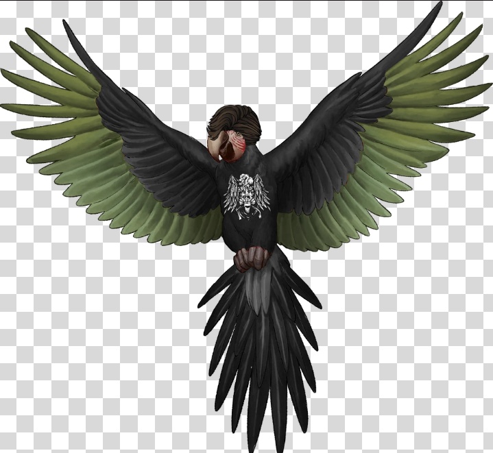 Acervo Kaithur tweet media