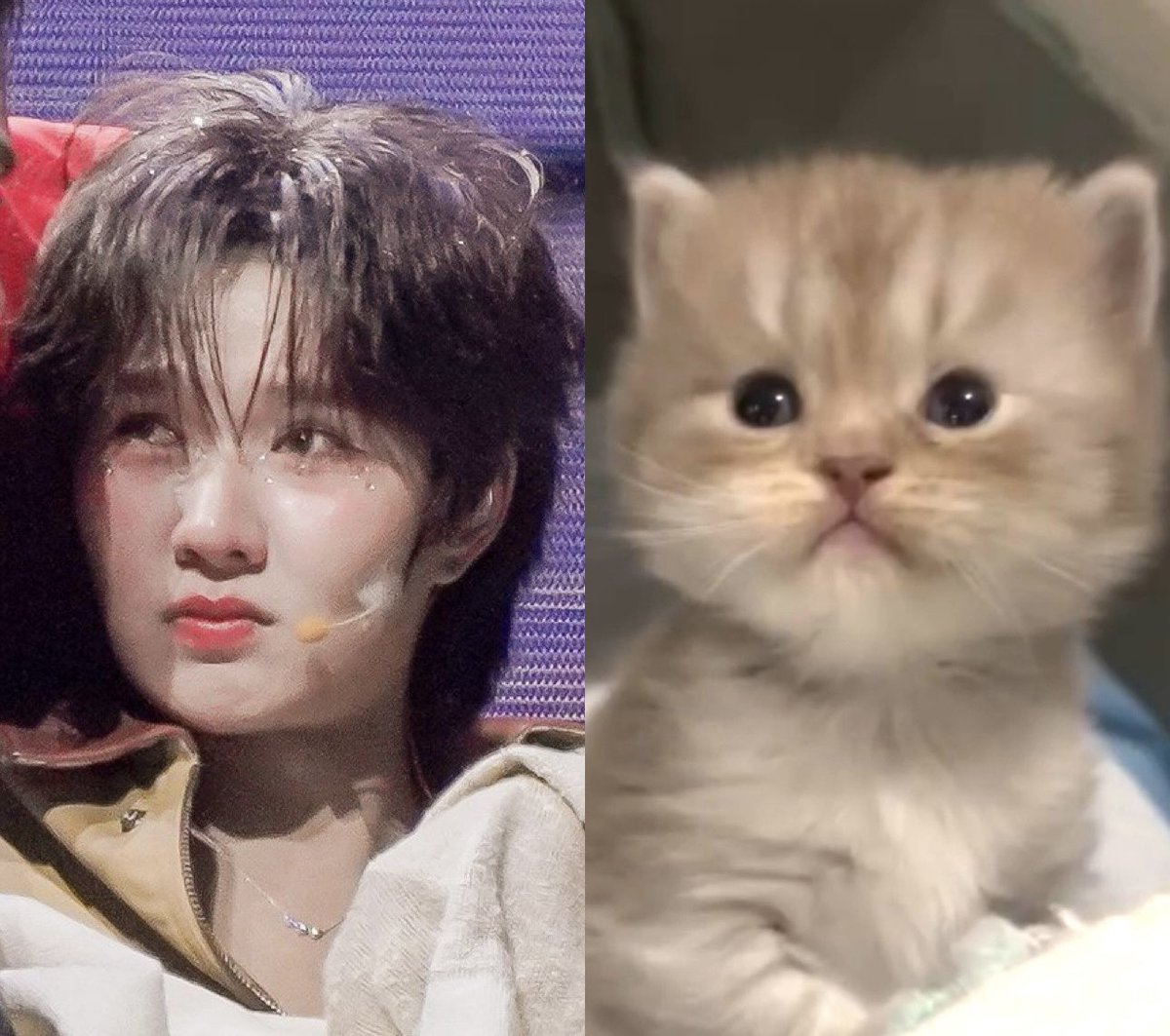 EYE 아이 ✨ ft. BiBi tweet media