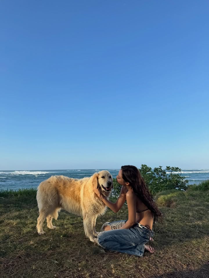 BLΛƆKPIИK ID🖤🩷 tweet media