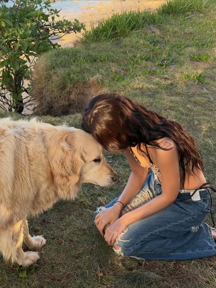 BLΛƆKPIИK ID🖤🩷 tweet media