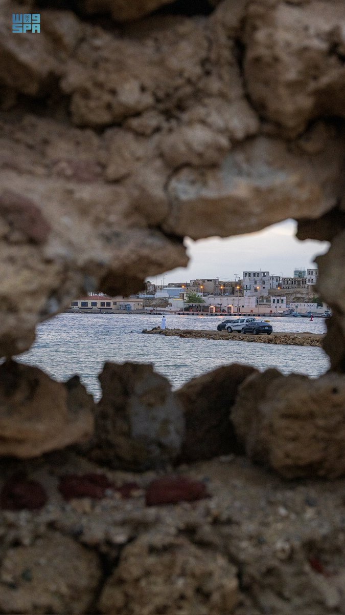 محمد الشريف tweet media