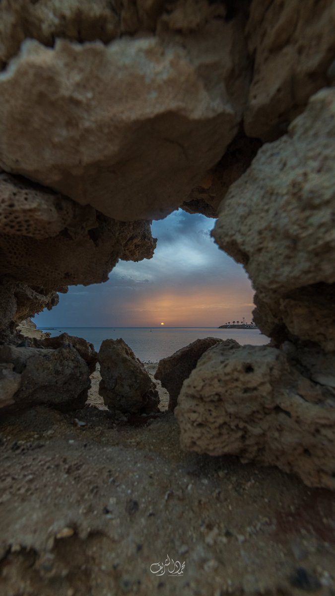 محمد الشريف tweet media