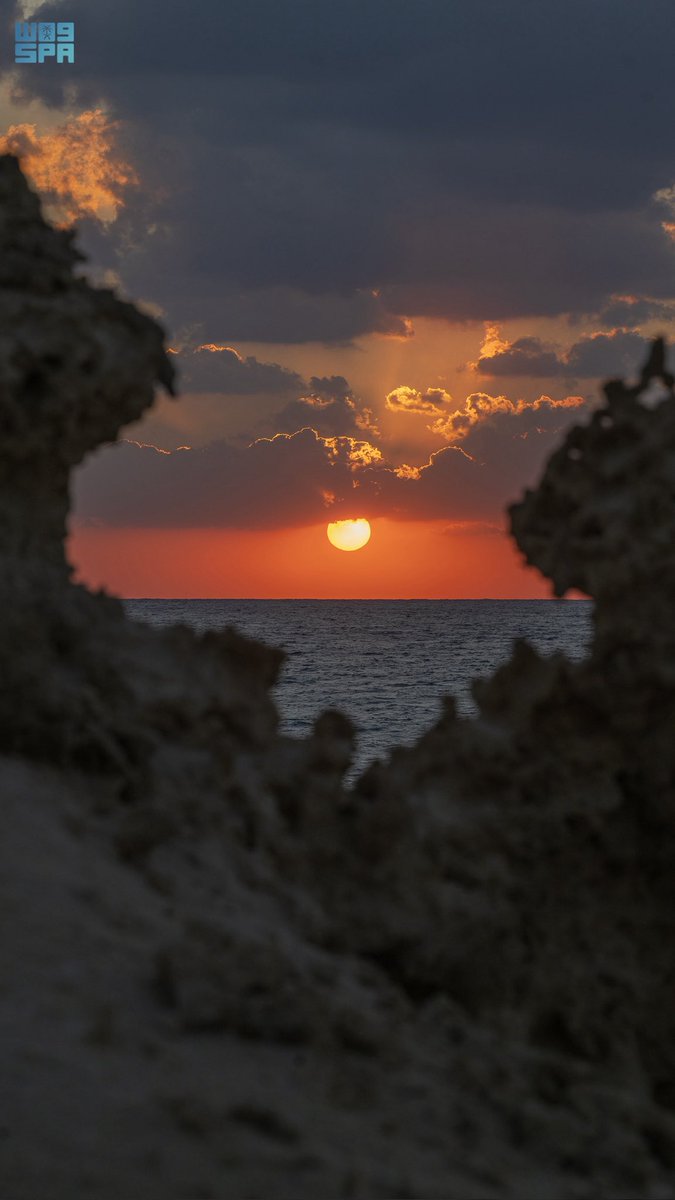 محمد الشريف tweet media