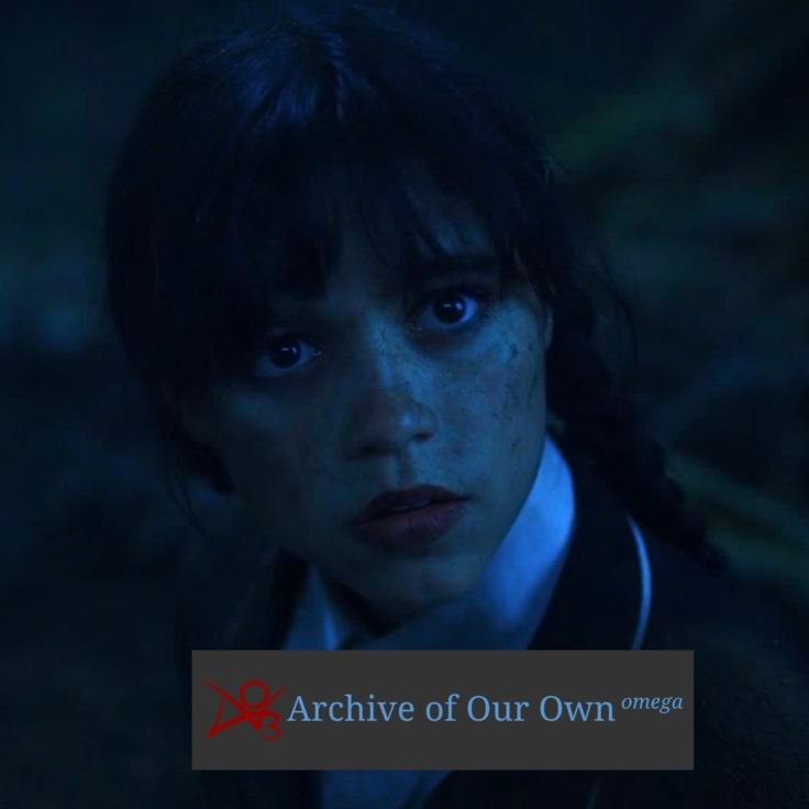 thesofitr 🍽️ tweet media