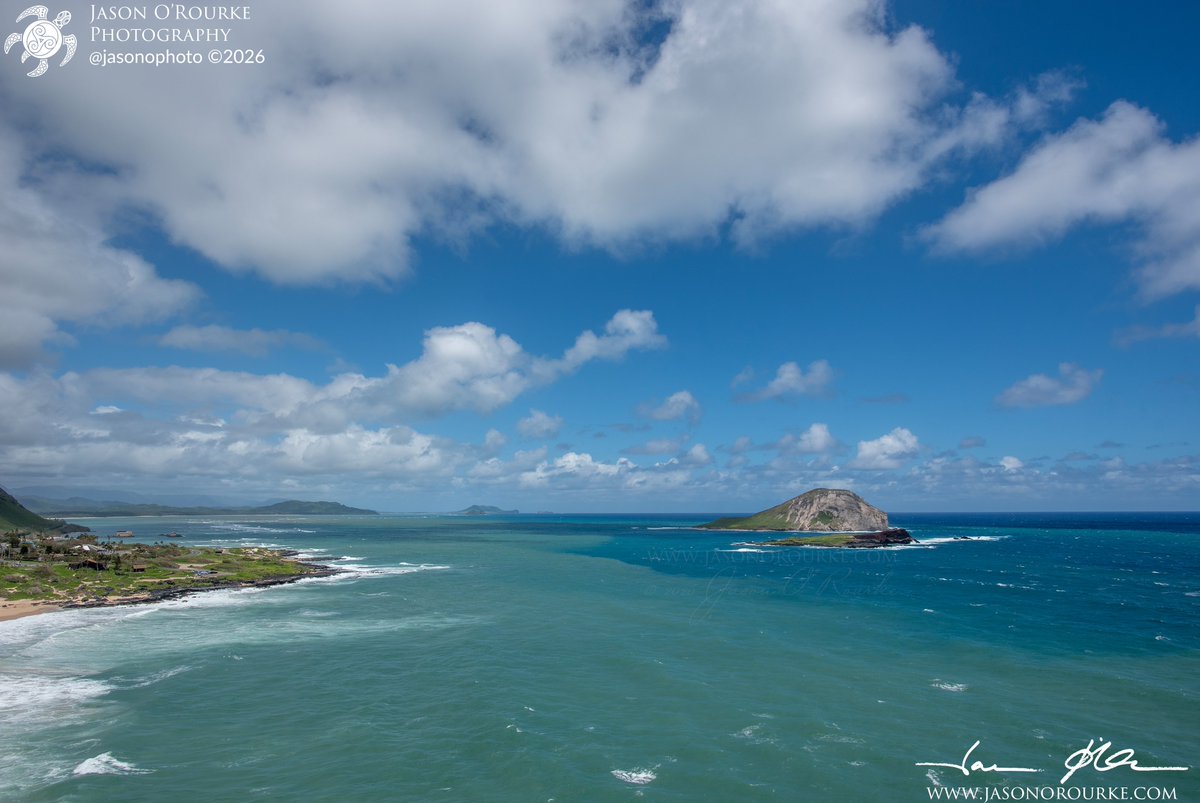 Jason O'Rourke tweet media