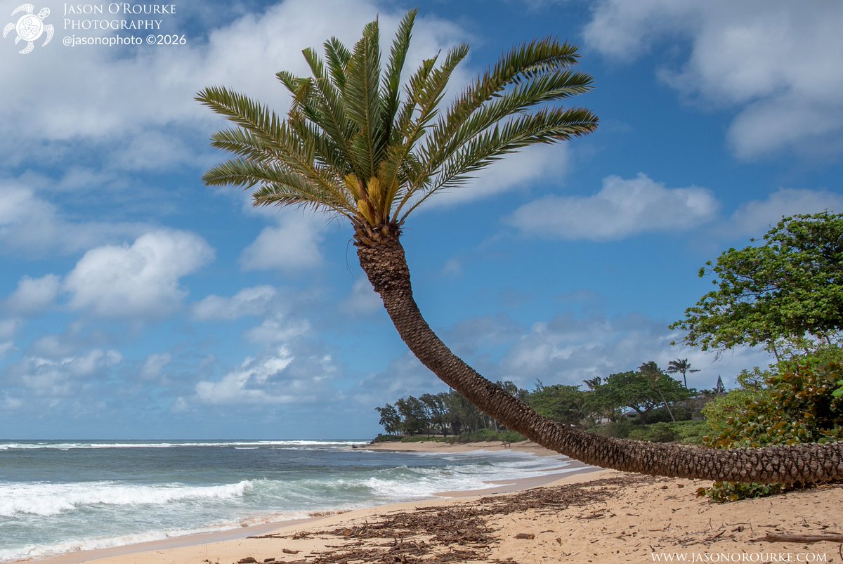 Jason O'Rourke tweet media