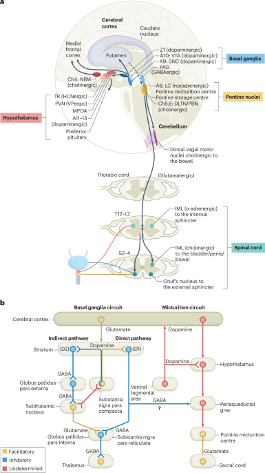 Nat Rev Neurology tweet media
