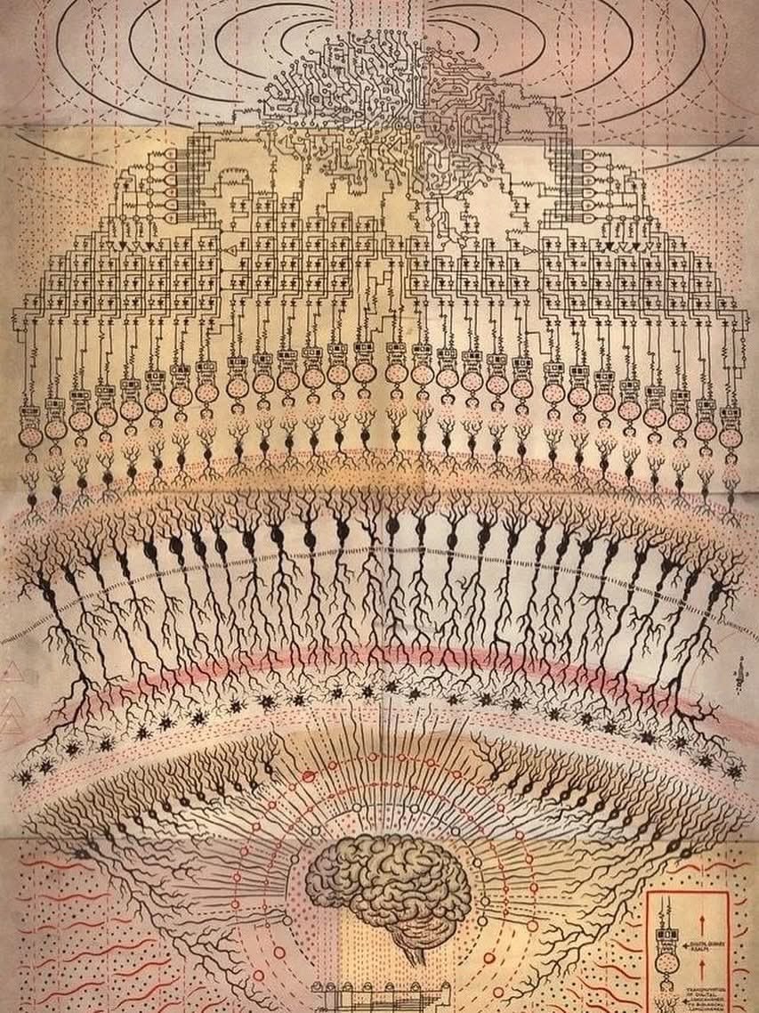 latestincosmos's tweet photo. “My brain is only a receiver, in the Universe there is a core from which we obtain knowledge, strength and inspiration. I have not penetrated into the secrets of this core, but I know that it exists”  

~ Nikola Tesla https://t.co/bamvDaKLIi