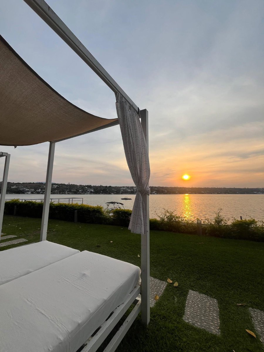 Display Noticias tweet media