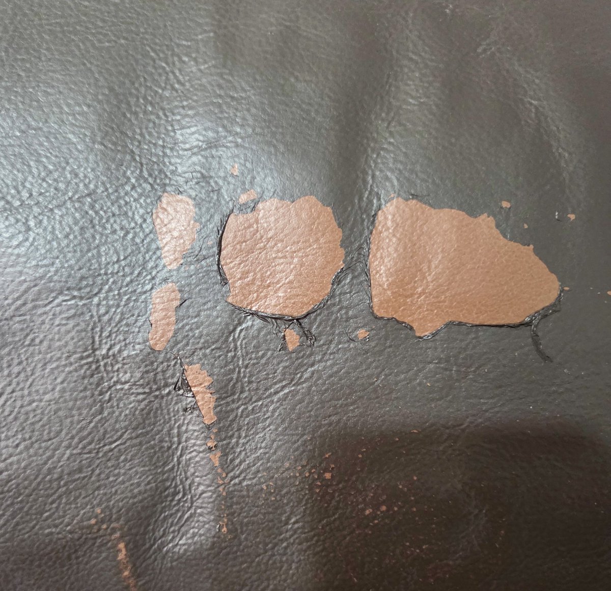 Wendy Knowler tweet media