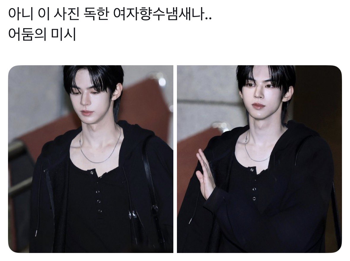 🐈‍⬛ tweet media