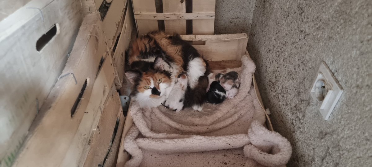 Fan de Marlène tweet media