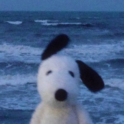 Bl8ckchain tweet media
