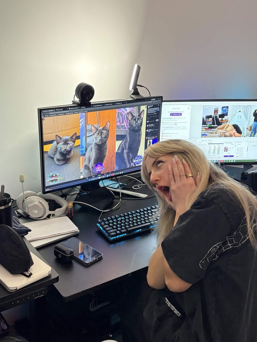 Liquid Guild tweet media