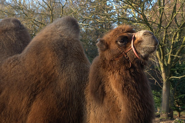 Cliff Smith tweet media