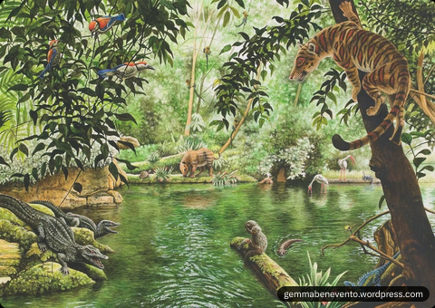 Avalon starship tweet media