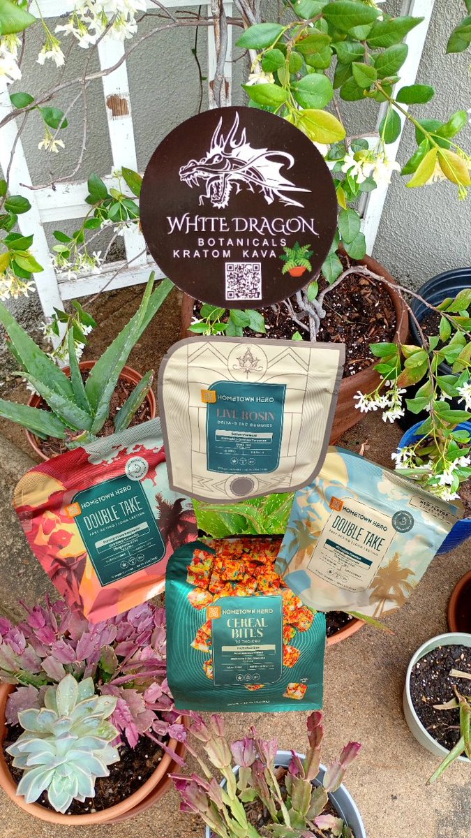 White_DragonATX's tweet photo. Get your natural remedies today! Before the long weekend 🌱 Open today until 6 PM  #CBD #hemp #sugarfreeoption #gummies #hometownhero #supportlocal #shoplocal #ATX #naturalremedies #discounts #kava #kratom https://t.co/arP1eiXzmf
