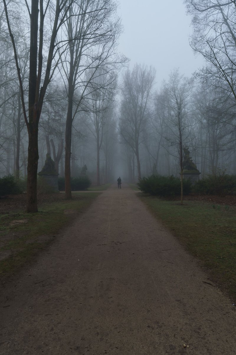 Marcel Wiest | Berlin | Film & Digital Photography tweet media