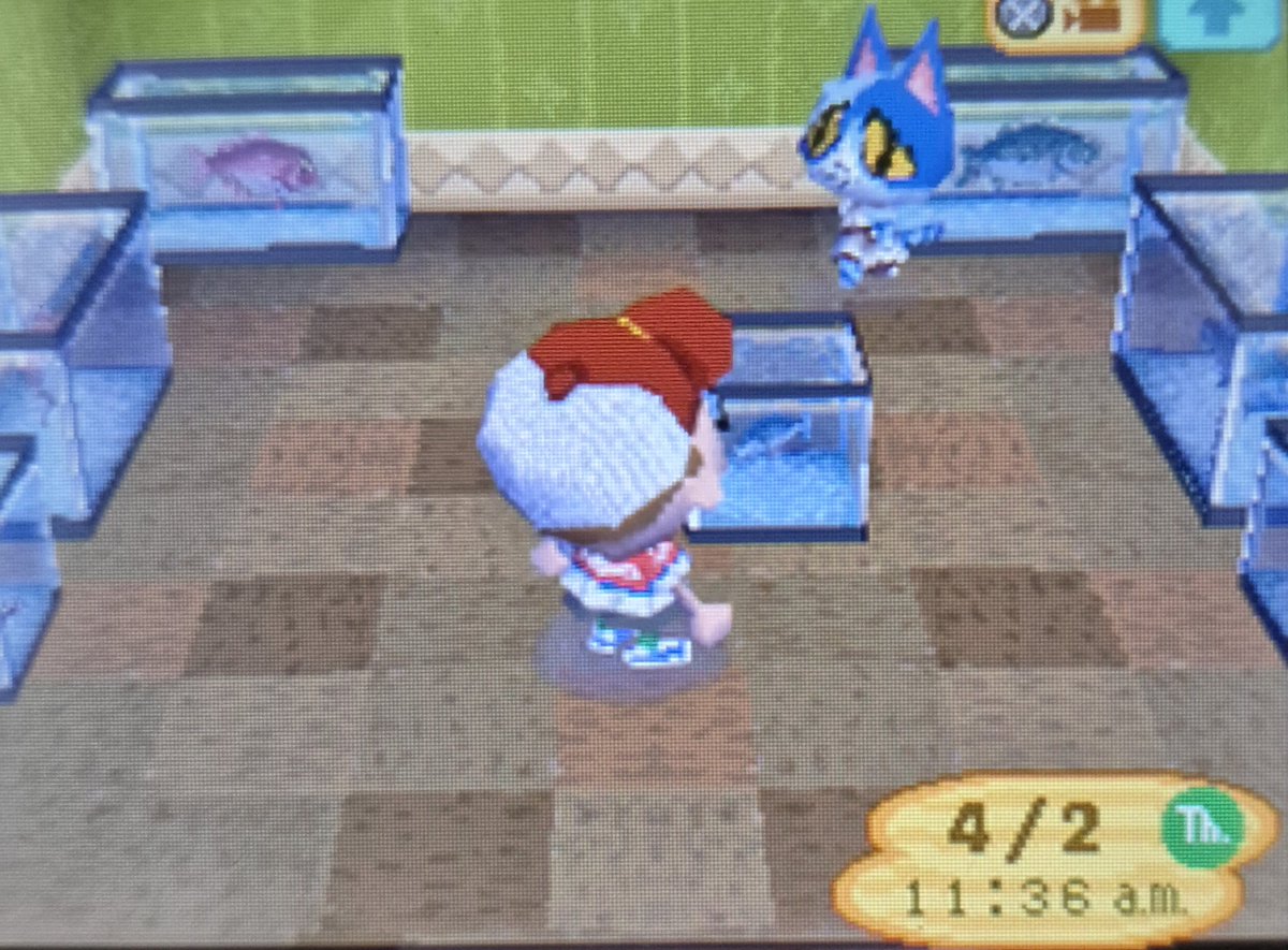 Kamfad-Rad tweet media