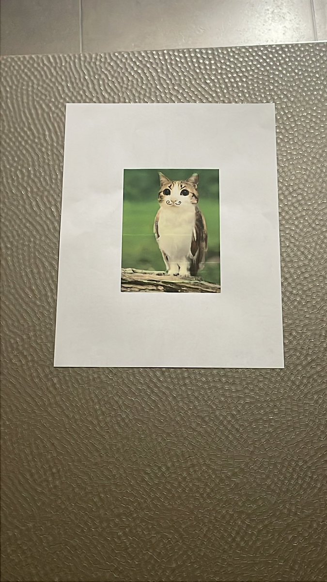 max 🔜 FWA, MP tweet media