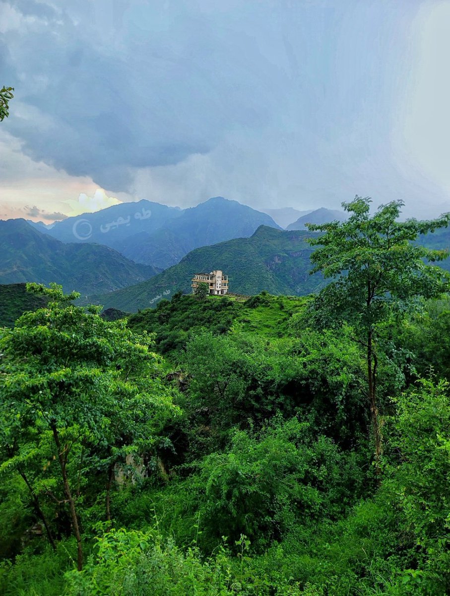 2️⃣
<a href="/hmd70000/">جنود المحور 🇾🇪🇮🇷🇵🇸🇱🇧🇮🇶</a>
<a href="/AliAhme17549214/">Ali Ahmed</a> 
<a href="/MslwhSlah82089/">صلاح</a>
<a href="/bwmm61639594/">ابوصمصام</a>
<a href="/bdalhameedaldah/">عبد الحميد الذاهبي</a>
<a href="/ShahabAldhaleai/">شهاب الضلعي</a>
<a href="/5Do3vSLcG6HUudG/">ابراهيم ابوشهيد</a>
<a href="/AbdAlrhman6456/">عبدالرحمن محمد 🇾🇪</a> 
<a href="/AlhsynAbw70235/">ابو الحسين</a>
<a href="/gbNVgOgRykEEQls/">عبدالكريم السلامي بديلAbdul Karim Al-Salami</a>
<a href="/SsS704443779957/">R.B.G</a>
<a href="/AbwmhmdM69321/">عبدالله الوادعي</a>
<a href="/sjadalhrbyt80/">سجاد الحربية</a> 
<a href="/mmd12698443/">ابوعصام الفرح</a>
<a href="/mohammefal3351/">محمد الصنعاني ٲبو طالب</a>
<a href="/werttu88h/">عبدالصمد</a>