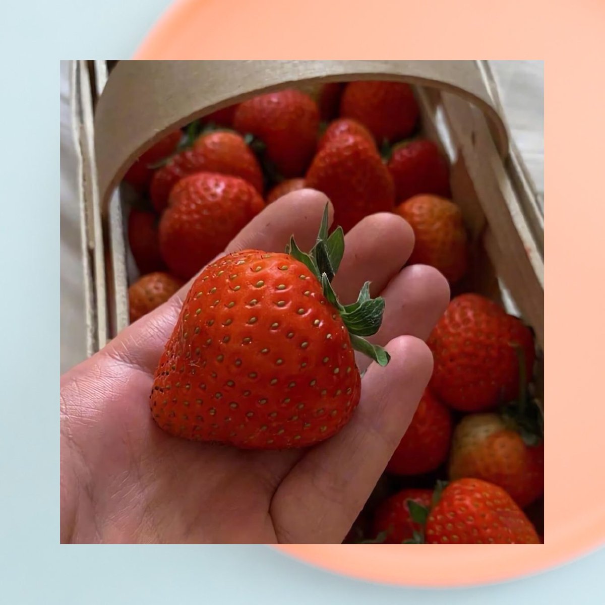 Samantha Ford tweet media