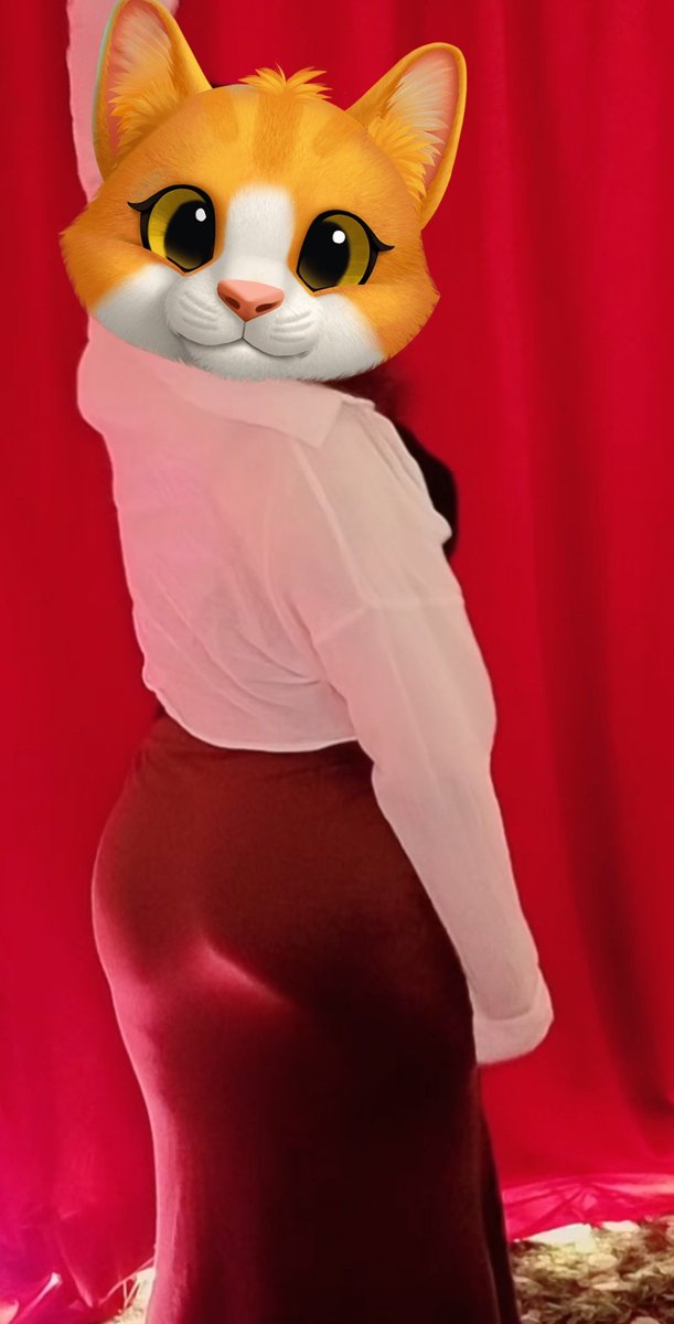 한킷캣 tweet media