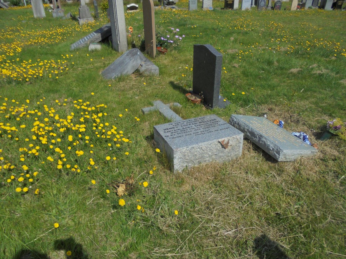 Iain Anderson tweet media