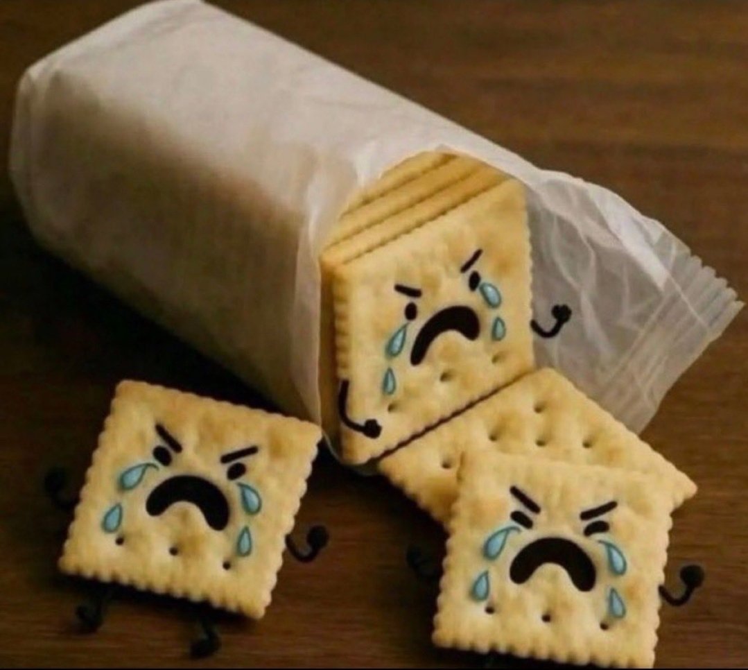 TreyAllDay tweet media