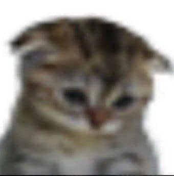 ery RESERVA tweet media