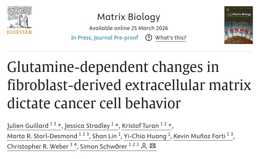 UCCancerCenter's tweet photo. In a recent article published in Matrix Biology, Simon Schwӧrer, PhD, and colleagues demonstrated how glutamine deficiency alters the extracellular matrix to promote tumor growth in pancreatic ductal adenocarcinoma. @UChicagoCCB @UChicagoPath
https://t.co/f8VtvKQAyN https://t.co/kqJiUNLHCV