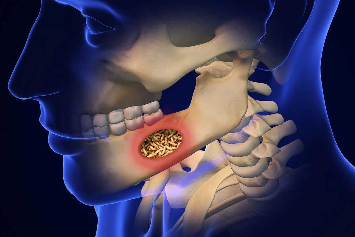 🧬Maxpein🧬 tweet media