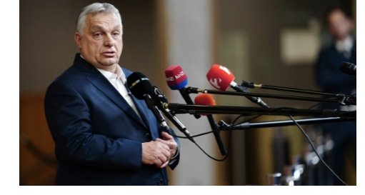 Berenice tweet media