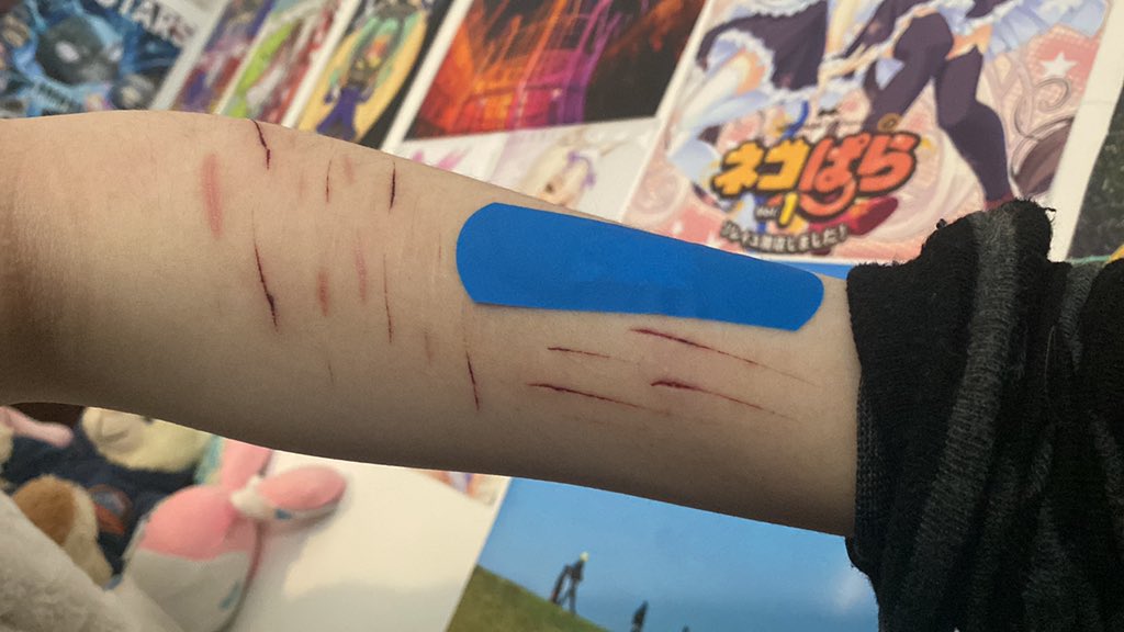 ⨯ Hypno ︵⭕️🎢︵ Shtwt ꩜ tweet media