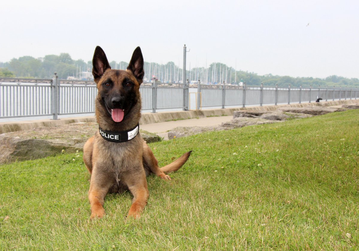 Durham Regional Police tweet media