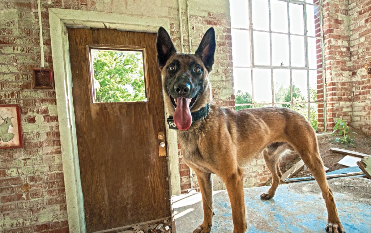 Durham Regional Police tweet media