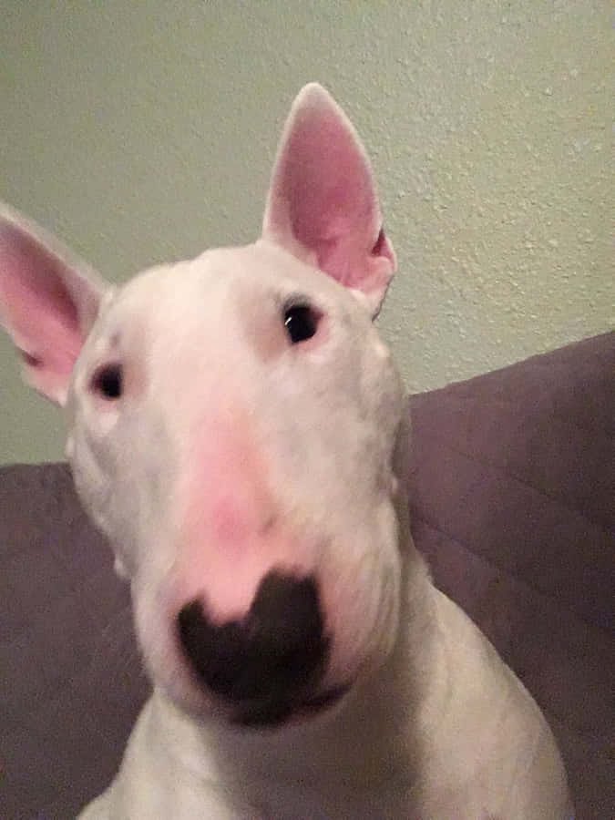 Sosoww🇩🇿🇲🇦 tweet media