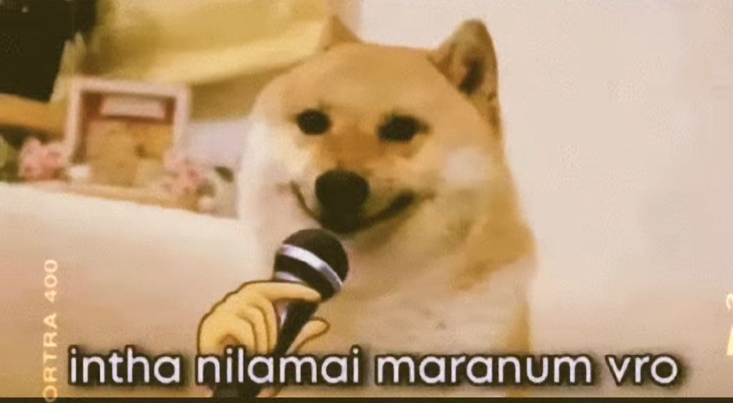 selsisur tweet media