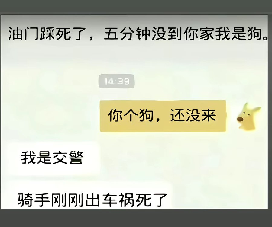 清洛😺 tweet media