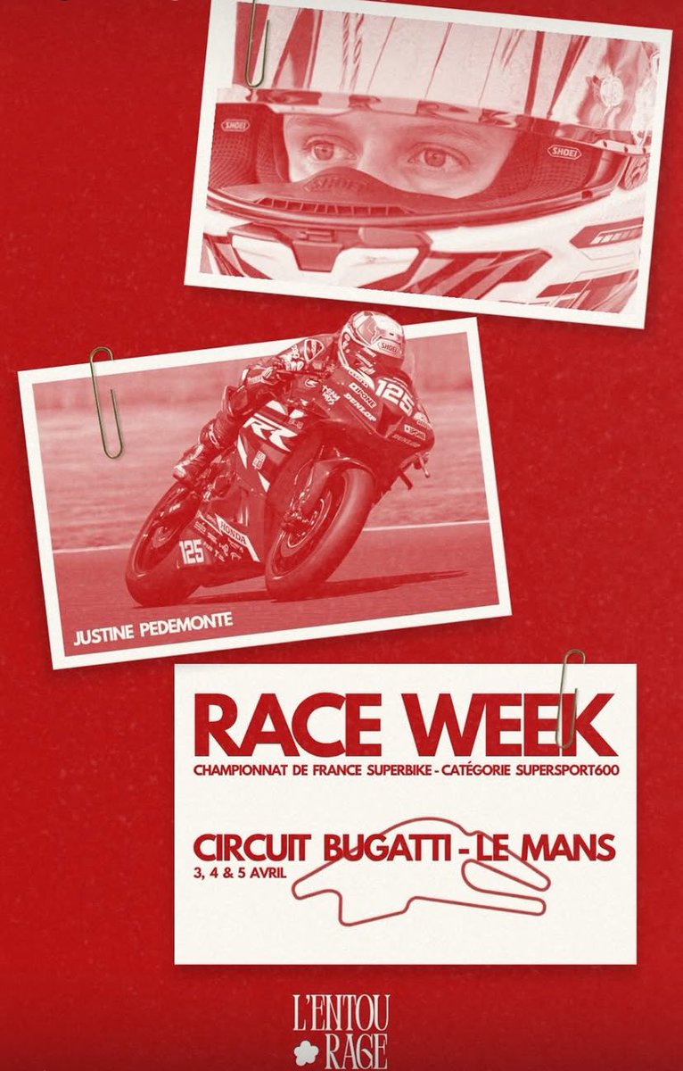 Justine PEDEMONTE tweet media